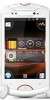 SONY_ERICSSON-WT19