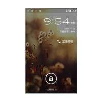 ZTE U795 ZTE U795