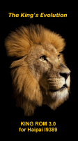 King Rom Evolution