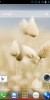 A830 Stock S118 A850 Theme - Image 1