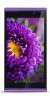 InFocus-M310-1