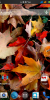 SLT-Nexus-TSUNAMI™ TechVanced - Micromax A116 [MT6589] - Image 1
