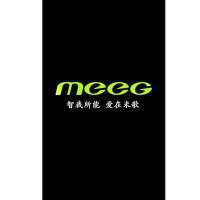 MEEG 101S