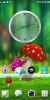 R827 COLOR OS 1.2.0i