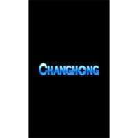 Changhong P300