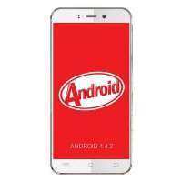 JIAYU S2L Standard KK