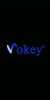 Vokey-P1S-1