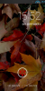 SLT-Nexus-TSUNAMI TechVanced - Image 1
