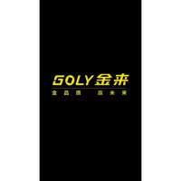 Goly X3 MT6571 2 screen