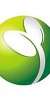 Skatter JIAYU G3S original