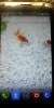 EVERCOSS A26C - Image 6 EVERCOSS A26C - Image 6