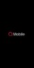 QMobile-N34-1