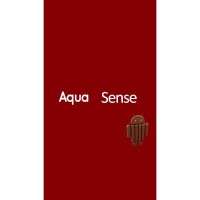 Intex Aqua Sense 5.0 Intex Aqua Sense 5.0