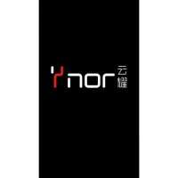 YNOR Q3