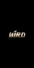 Bird-X6-1