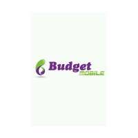 Budget Mobile X401