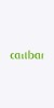 Callbar-G4-1