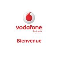 WGI JS406 Vodafone WGI JS406 Vodafone