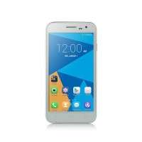 Doogee Voyage2 DG310