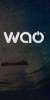 WAO-5.0-LTE-1