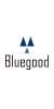 BLUEGOOD-T5-1