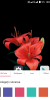 Mifavor UI (E4 Lite) - Image 9 Mifavor UI (E4 Lite) - Image 9