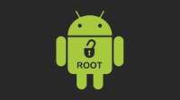 Recovery+Root