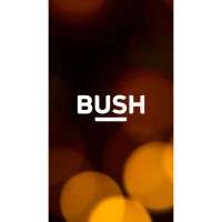 Bush Spira B1 10.1