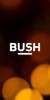 Bush-Spira-B3-5.5