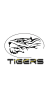Tigers-TG40-1