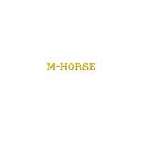 M-Horse R9s