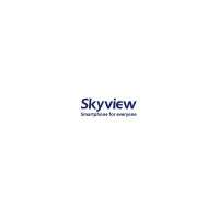Skyview A1