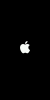 IPhone 1:1