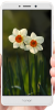 Huawei Honor 6X - Image 3 Huawei Honor 6X - Image 3