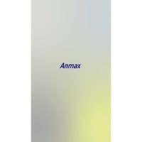 Anmax Q2