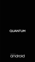 Quantum MUV UP (Q13)