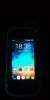 jelly pro