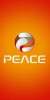 PEACE-PWT01