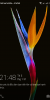 X OS