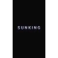 SUNKING sk188 SUNKING sk188