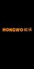 HONGWO-A6