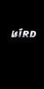 BIRD-A11