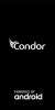 Condor-Plume-L3