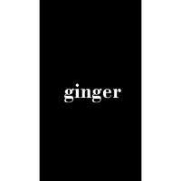 Ginger G5001 DRAGON