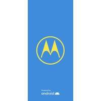 Moto One Action XT1962-4 AMXBR