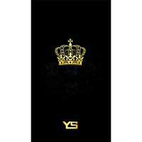 YS S9 FRP