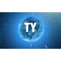 TY A13