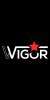 WIGOR-V3