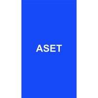 ASET X