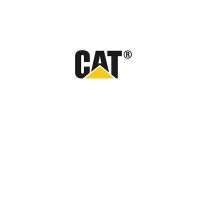 Cat S30 Cat S30